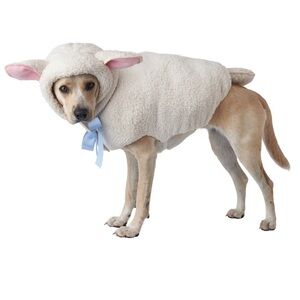 Dog sheep costume Size M